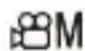 PANASONIC Lumix DC-G9M2 - [Format d'enreg. de fichier] : [MOV] - 1