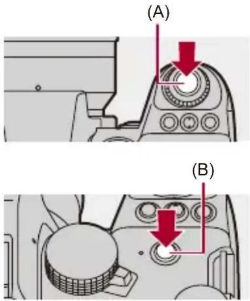 (A) (B)