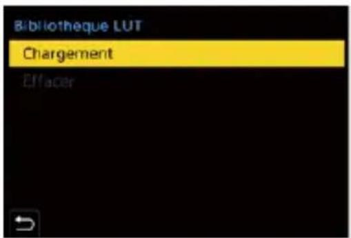 Bibliothèque LUT Chargement Effacer