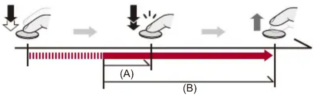 (A) (B)