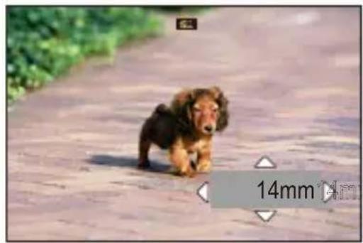 PANASONIC Lumix DC-G9M2 - Utilisation du [Zoom de recadrage (Photo)] - 1