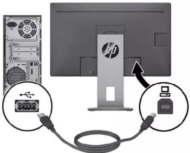 HP EliteDisplay E240q - Branchement des câbles - 7