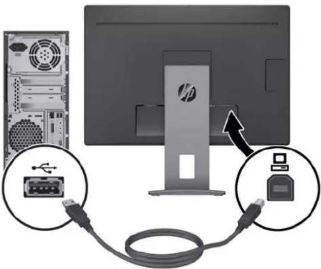 HP EliteDisplay E240c - Branchement des câbles - 7