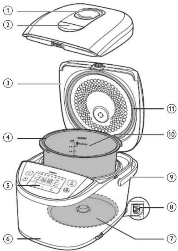 PHILIPS Viva Collection HD3158 - Aperçu - 1
