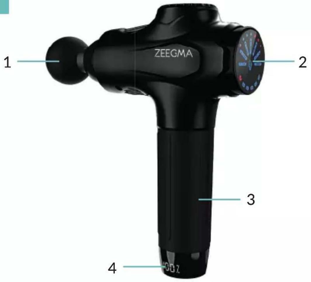 Zeegma Cure - 1