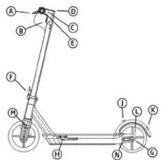 Motus Scooty 10 Plus - MONTAGE - 2