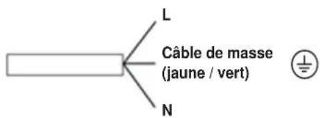 L Câble de masse (jaune / vert) N