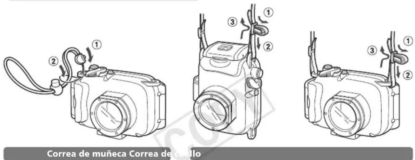 CANON WP-DC36 - Preparativos - 1