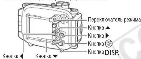 CANON WP-DC36 - Подводный режим - 1