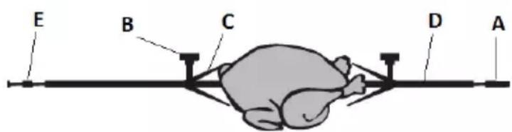 G3 Ferrari Friggisano EVO 15L G10182 - BANDEJAS PERFURADAS (6 e 15) - 1