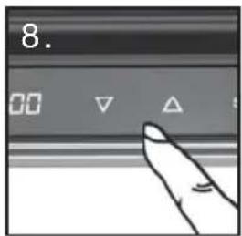 8.