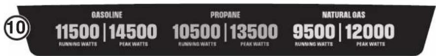 10 GASOLINE 11500 | 14500 RUNNING WATTS PEAK WATTS PROpane 10500 | 13500 RUNNING WATTS PEAK WATTS NATURAL GAS 9500 | 12000 RUNNING WATTS PEAK WATTS