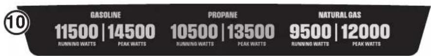 10 GASOLINE 11500 | 14500 RUNNING WATTS PEAK WATTS PROpane 10500 | 13500 RUNNING WATTS PEAK WATTS NATURAL GAS 9500 | 12000 RUNNING WATTS PEAK WATTS