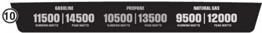10 GASOLINE 11500 | 14500 RUNNING WATTS PEAK WATTS PROpane 10500 | 13500 RUNNING WATTS PEAK WATTS NATURAL GAS 9500 | 12000 RUNNING WATTS PEAK WATTS