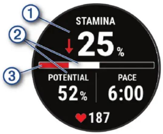 GARMIN D2 Mach 1 Pro - Affichage de votre Stamina en temps réel - 1