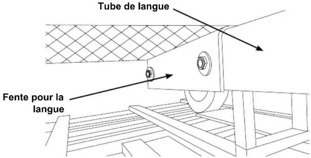 Tube de langue Fente pour la langue