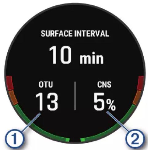 SURFACE INTERVAL 10 min OTU | CNS 13 5%