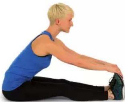 Capital Sports Oceanus - Dedicare - 9