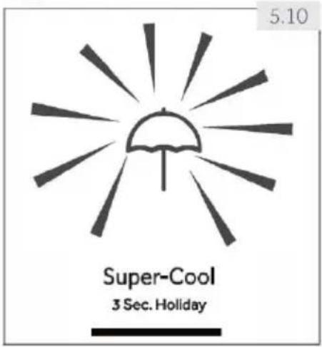 5.10 Super-Cool 3 Sec. Holiday