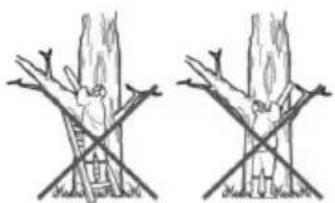 AL-KO BKS 3835 - Sciage d'un tronc d'arbre posé - 3