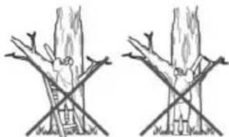AL-KO BKS 3835 - Beskæring - 1