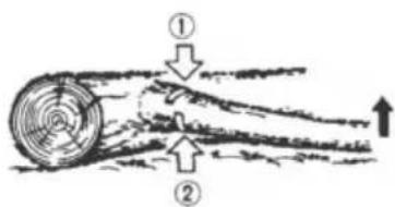 AL-KO BKS 3835 - Cutting a pillowed log - 1