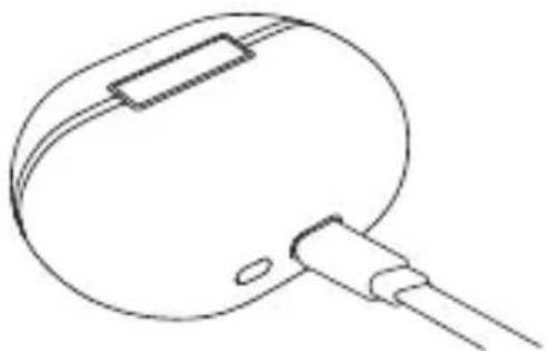 SoundPEATS Capsule3 Pro - Q2 : Comment charger le boîtier de charge ? - 1