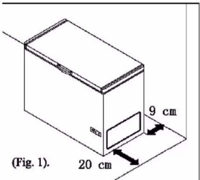 (Fig. 1). 20 cm 9 cm