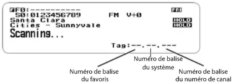 FF0:---- S0:0123456789 FM V+0 Santa Clara Cities - Sunnyvale Scanning... FM HOLD HOLD Tag:---- Numéro de balise du système Numéro de balise du favoris Numéro de balise du numéro de canal