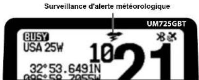 Surveillance d'alerte météorologique BUSY USA 25W 32°53.6491N 085°58.7055W 1021 UM725GBT