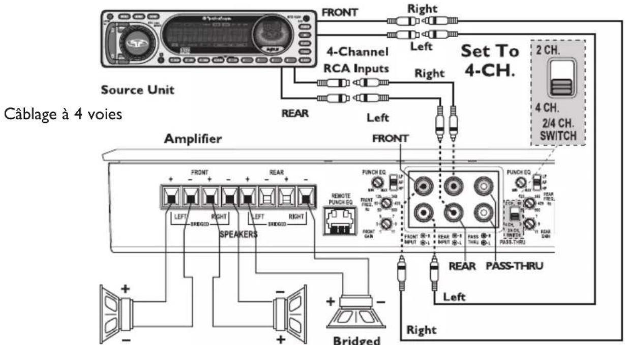 Rockford Fosgate Power T800-4ad - CÂBLAGE DU SYSTÈME - 11