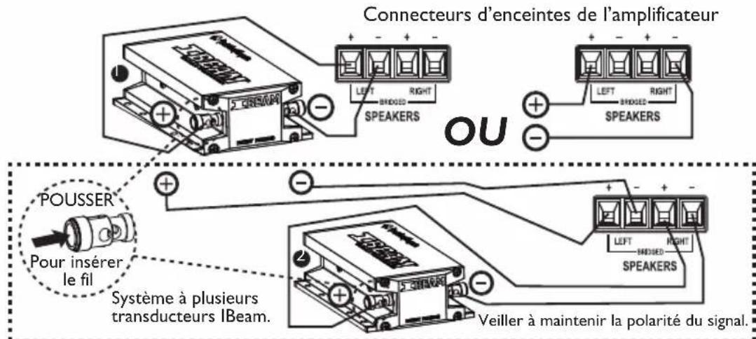 Connecteurs d'enceintes de l'amplificateur OU POUSSER Pour insérer le fil Système à plusieurs transducteurs IBeam. Veiller à maintenir la polarité du signal.