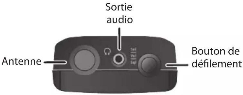 Sortie audio Antenne Bouton de défilement