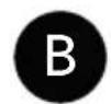 TRIANGLE S04 - BI-AMPLIFICATION AND BI-WIRING - 3