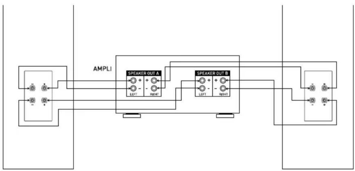 TRIANGLE S04 - BI-AMPLIFICATION AND BI-WIRING - 4