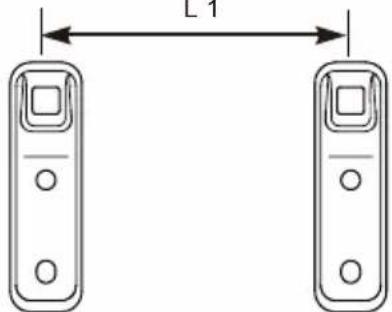L1