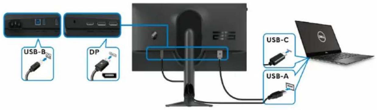 ALIENWARE AW2524HF - Connexion des câbles USB-C à DP et USB - 1