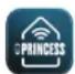 PRINCESS 348150 - TIPPSKYDD - 1