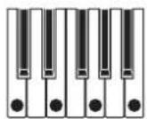 KORG Modwave MKII - Pattern - 1