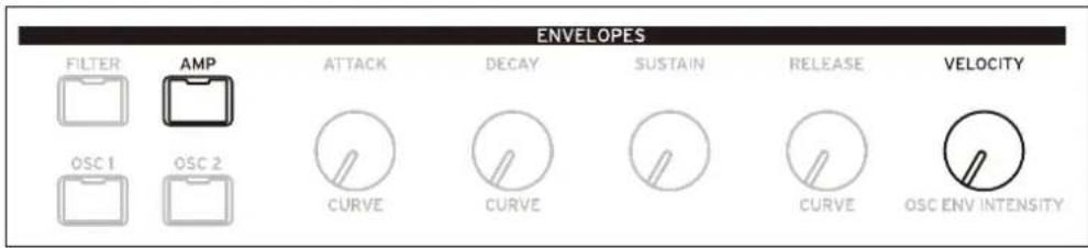 ENVELOPES FILTER AMP ATTACK DECAY SUSTAIN RELEASE VELOCITY OSC 1 OSC 2 CURVE CURVE CURVE OSC ENV INTENSITY