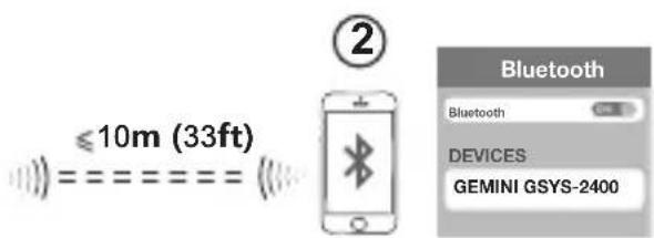 GEMINI GSYS-2400 - Introduzione - 1