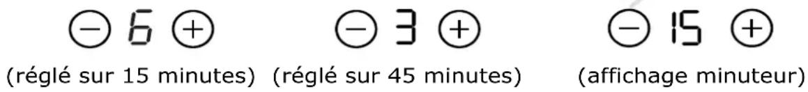 (réglé sur 15 minutes) (réglé sur 45 minutes) (affichage minuteur)