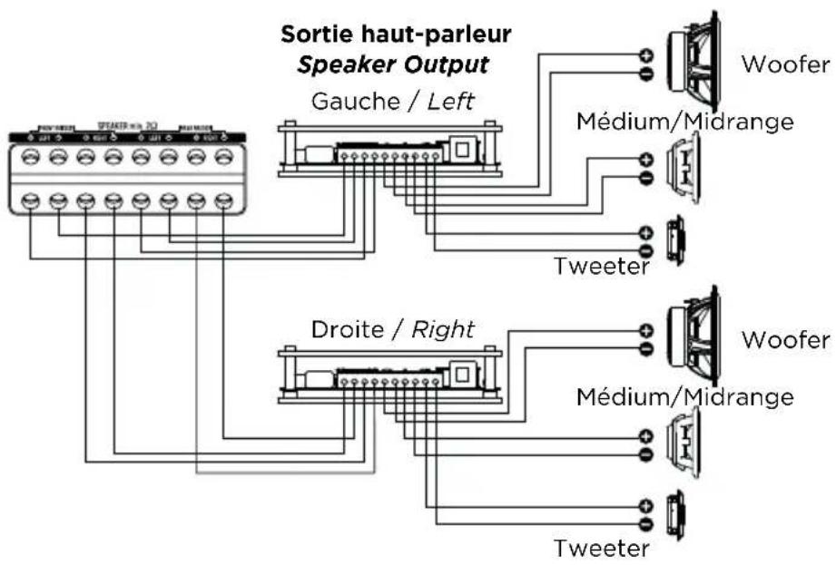 Sortie haut-parleur Speaker Output Gauche / Left Woofer Médium/Midrange Tweeter Droite / Right Woofer Médium/Midrange Tweeter