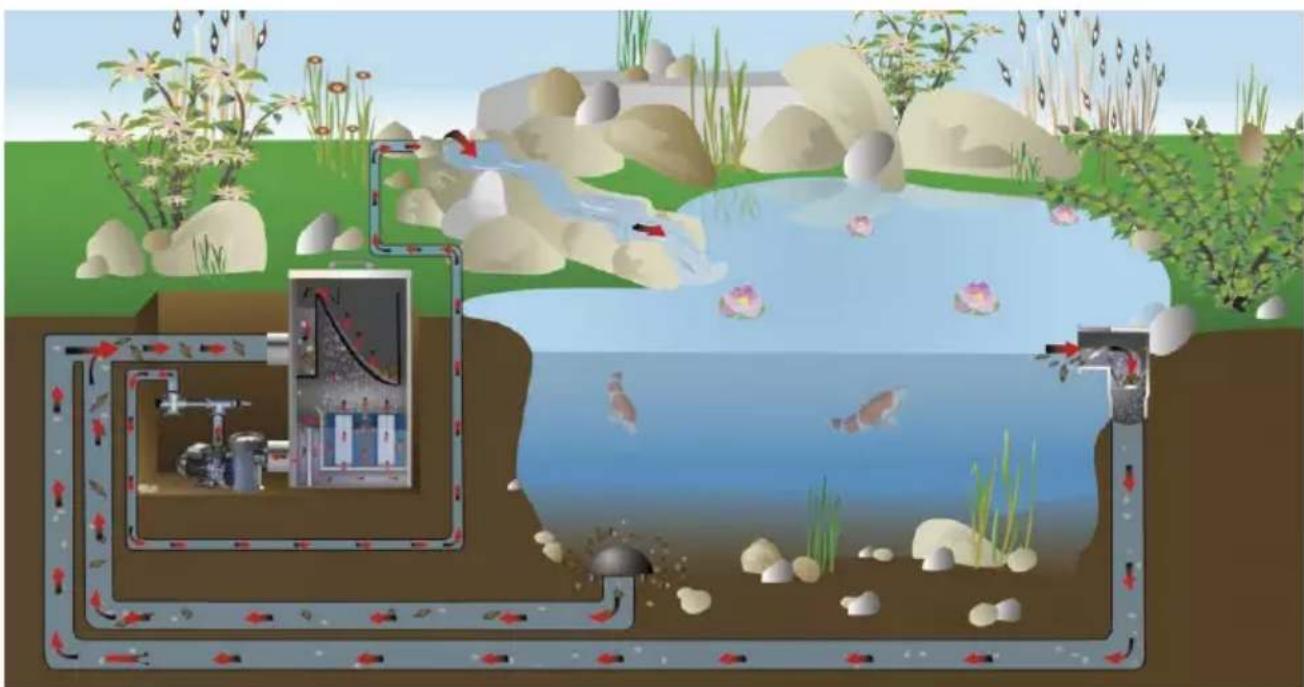 Fiap Aqua Active Magic 18.000 - Entsorgung - 8