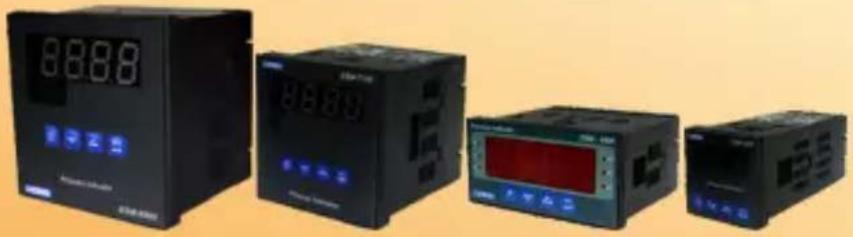 Emko ESM-4900 - UNIDADES DEL INDICADOR DE PROCESO ESM-XX00 - 1