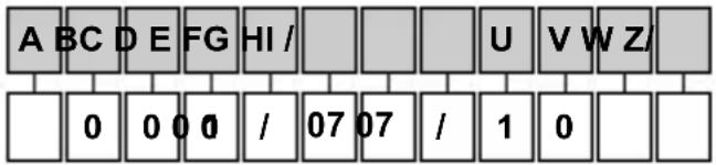 Emko EZM-3735 - Specifiche - 2