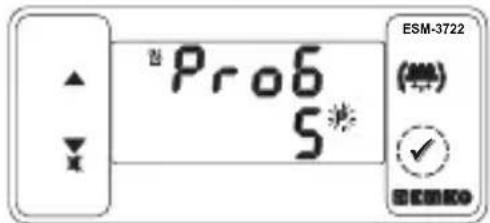 Emko ESM-3722 - Aufrufen des Programmiermodus, Ändern und Speichern von Parametern - 5