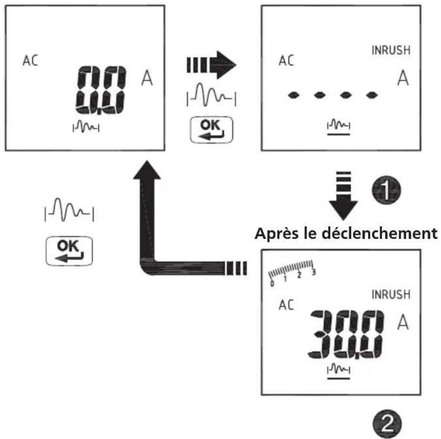 Megger DPM1000 - Fonction PEAK HOLD (Maintien de la valeur de crête) (mode CA uniquement) - 3