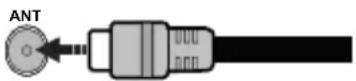 PANASONIC TX-50MX700E - Antennanslutning - 1