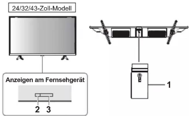24/32/43-Zoll-Modell Anzeigen am Fernsehgerät 1 2 3